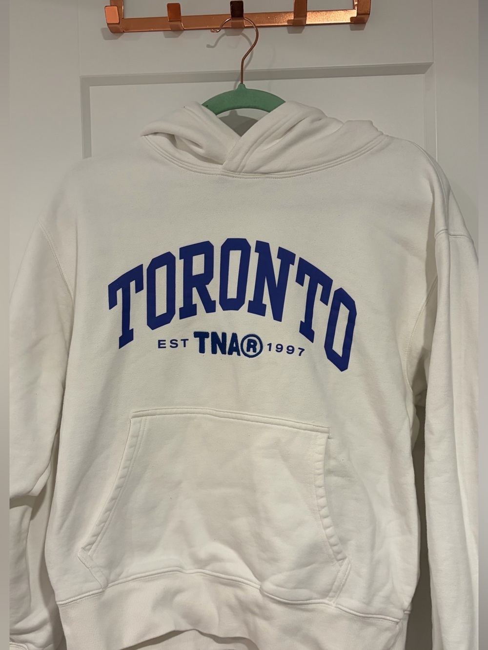 Aritzia TNA Toronto Cozy Fleece Hoodie 💙🤍